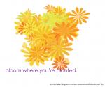 Bloom where you are planted